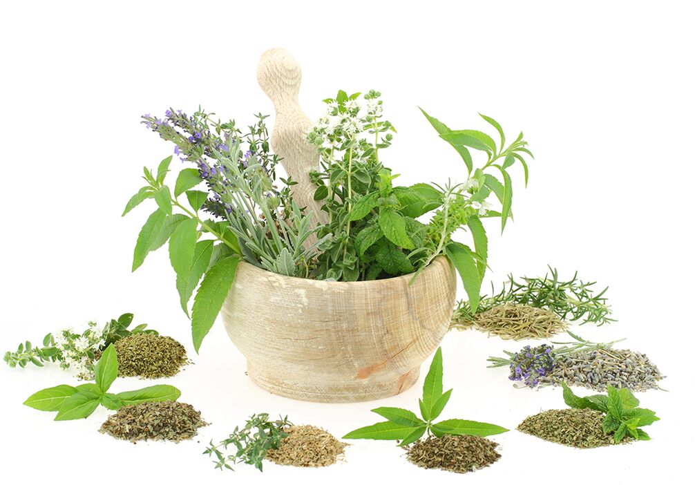 Plant extracts in the composition of the product